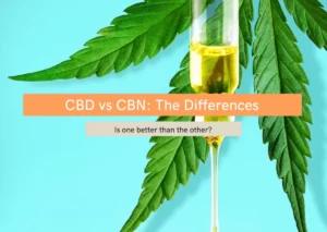 the difference between cbd and cbn