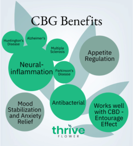 what is CBG CBG benefits