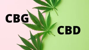 The Difference Between CBD and CBG