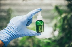 cbd-hemp-oil-hand-holding-bottle-of-cannabis-oil-against-marijuana-plant-6-1024x681
